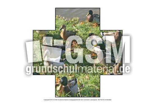 Formen-Stockente-A-1-10.pdf